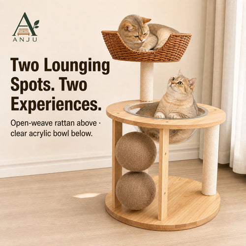 ANJU 2-Tier Cat Tree with Woven Basket, Clear Bowl and Scratching Posts — image 2